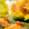 Download Bilder Für Das Handy: Hintergrund, Herbst, Blätter, Kostenlos über Handy Hintergrundbilder Herbst