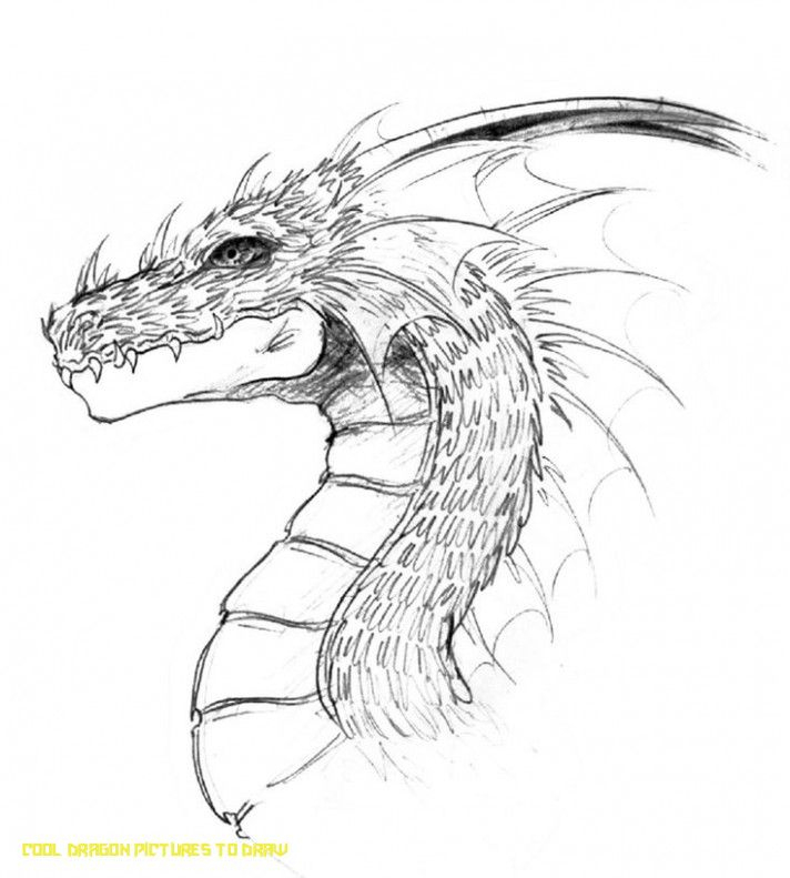 Drachen Zeichnungen Bleistift  Dragon Head By   Cool Dragon mit Drache Zeichnen Einfach