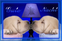 Dreamies.de (42Ihzqcd90G.gif) Gute Nacht Freunde, Gute Nacht, Gute für Guten Abend Gute Nacht Bilder Für Freunde Dreamies.de (42Ihzqcd90G.gif) Gute Nacht Freunde, Gute Nacht, Gute für Guten Abend Gute Nacht Bilder Für Freunde