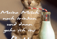 ᐅ Lustige Gute Nacht Bilder Tiere - Gb Pics - Gbpicsbilder ganzes Gute Nacht Lustige Bilder