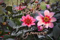 Ein Lachen Am Morgen Foto &amp; Bild  Lachen, Karten, Grußkarten über Guten Morgen Bilder Zum Lachen