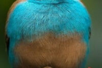 Einen Schönen Samstag Morgen Bilder - Gbpicsbilder in Samstag Guten Morgen Bilder