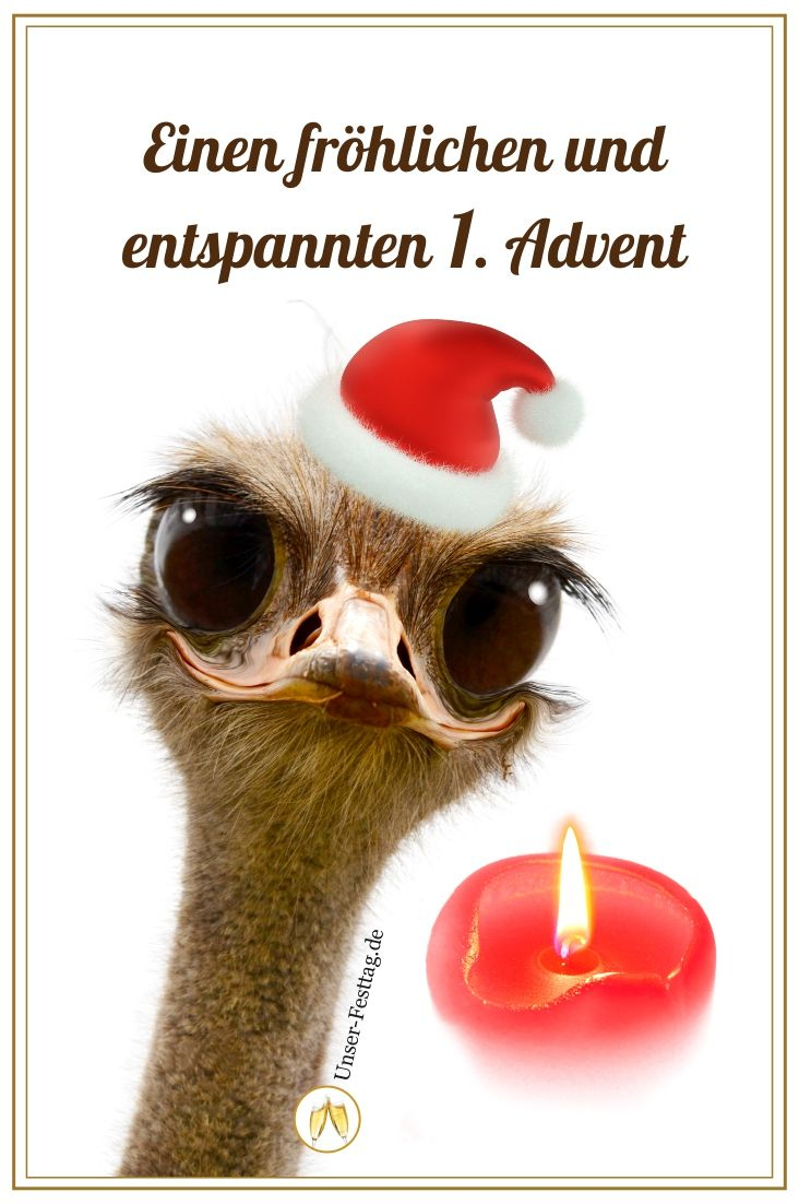 Fröhlichen 1. Advent  Advent Lustig, Zweiter Advent, Lustige Vögel mit Advent Sprüche Lustig