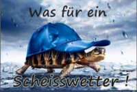 Funpot: Scheisswetter Von Floh - Pingram - Bilder Für Sie  Lustige über Regenwetter Bilder Lustig Kostenlos