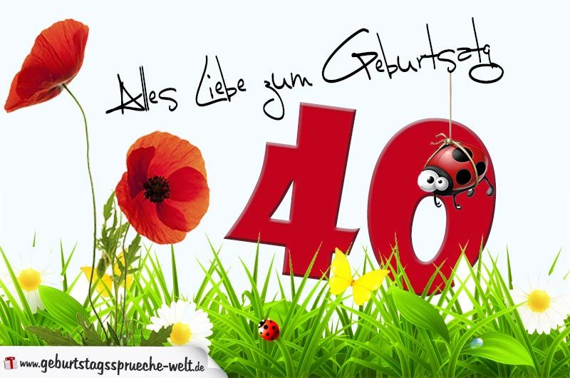 Geburtstagskarte Mit Blumenwiese Zum 40. Geburtstag ganzes Glückwünsche Zum 40. Geburtstag Bilder