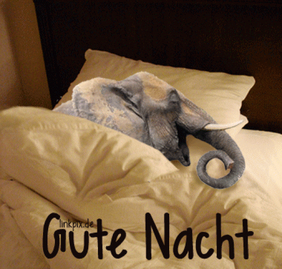 Gute Nacht Bilder Für Facebook.  Elephant, Elephant Gif, Gif bestimmt für Abend Grüße Gif