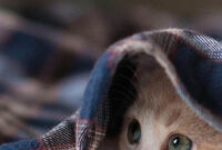 Guten Morgen Bilder Kostenlos Zum Runterladen Und Grüße Für Whatsapp bei Guten Morgen Montag Bilder Kostenlos Guten Morgen Bilder Kostenlos Zum Runterladen Und Grüße Für Whatsapp bei Guten Morgen Montag Bilder Kostenlos