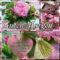 Guten Morgen Bilder Sonntag Blumen Kostenloser  Reinickendorfer innen Zauberhaften Sonntag Bilder