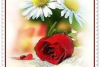 Guten Morgen Schönen Mittwoch - Gbpicsbilder in Mittwoch Guten Morgen Bilder Kostenlos