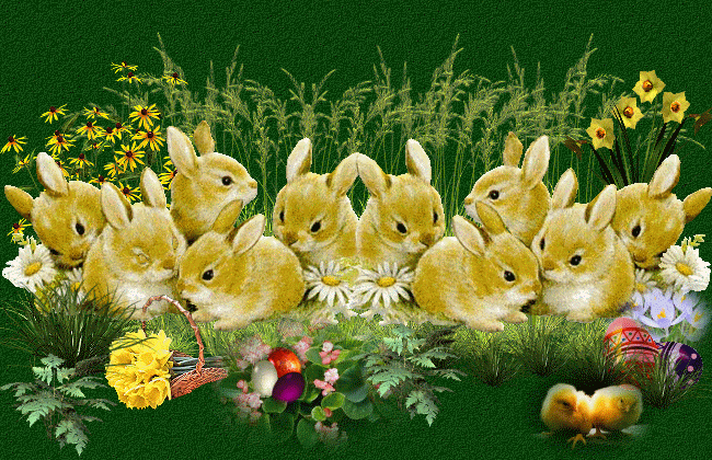 Happy Easter Pictures, Photos, And Images For Facebook, Tumblr für Schöne Gifs Kostenlos