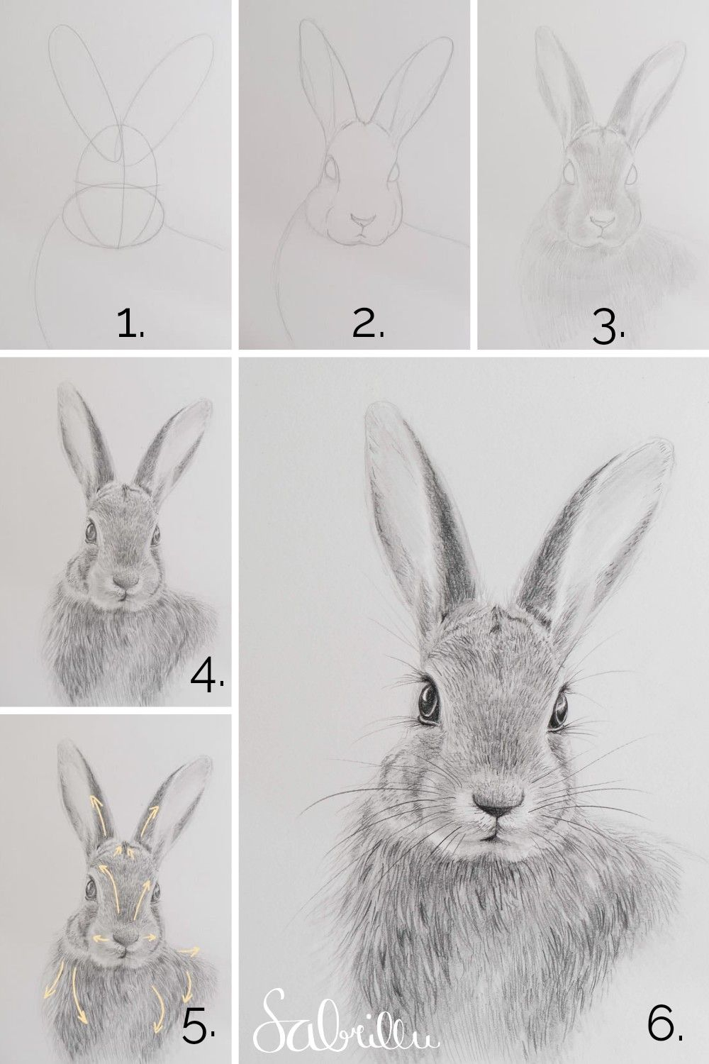 Hase Zeichnen Mit Bleistift  Schritt-Für-Schritt - Anleitung  Hase für Tier Zeichnen Leicht