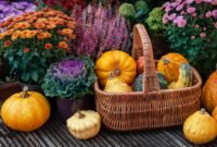 Herbstblumen: Die 10 Schönsten Für Ihren Garten - Plantura über Herbstbilder Für Whatsapp