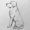 Hund Zeichnen: Einfach Eine Zeichnung In 5 Schritten ganzes Tier Zeichnen Leicht