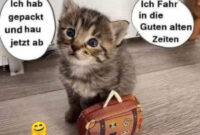 Ich Hab Gepackt Und Hau Jetzt Ab  Katzen Lustige Sprüche, Lustig über Sarkastisch Katzen Sprüche Lustig