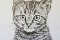 Katze Zeichnen Lernen Für Anfänger  Tiere Zeichnen bestimmt für Bilder Zum Abzeichnen