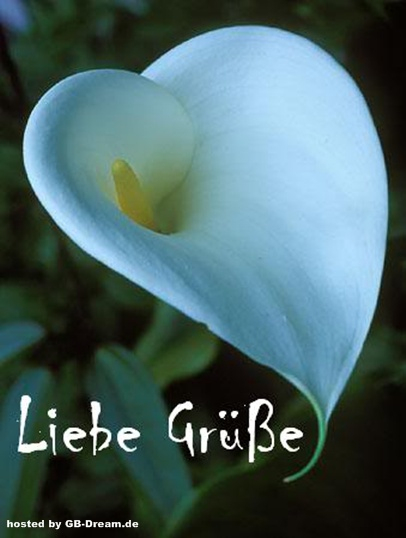 Liebe Grüße Whatsapp Und Facebook Gb Bilder- Gb Pics-Liebe Grüsse Gb bei Bild Liebe Grüße