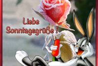Liebe Sonntagsgrüße! - #Liebe #Sonntagsgrüße Sonntagsgrüße bestimmt für Bilder Zum Sonntag Liebe Sonntagsgrüße! - #Liebe #Sonntagsgrüße Sonntagsgrüße bestimmt für Bilder Zum Sonntag