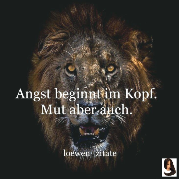 Löwenarmy🎗 On Instagram: &quot;Folgt Uns Für Mehr🎭 • 👉@Loewen_Zitate verwandt mit Lebensweisheit Stark Löwen Sprüche
