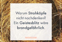 Lustige Sprüche  100+ Sprüche, Die Dich Zum Lachen Bringen ganzes Lachen Bringen Lustige Bilder Sprüche Totlachen