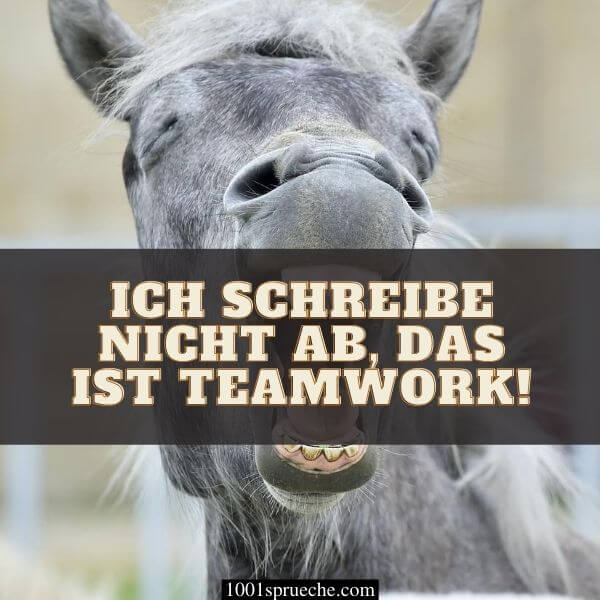 Lustige Whatsapp Bilder (49+) Zum Totlachen  Kostenlos ganzes Whatsapp Status Bilder Lustig Kostenlos