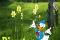 Mck Dienstag Gb 2013 Donald Im Grünen Mit Bbcode Bei Http:mckrampi verwandt mit Sonntags Grüße Gif Kostenlos