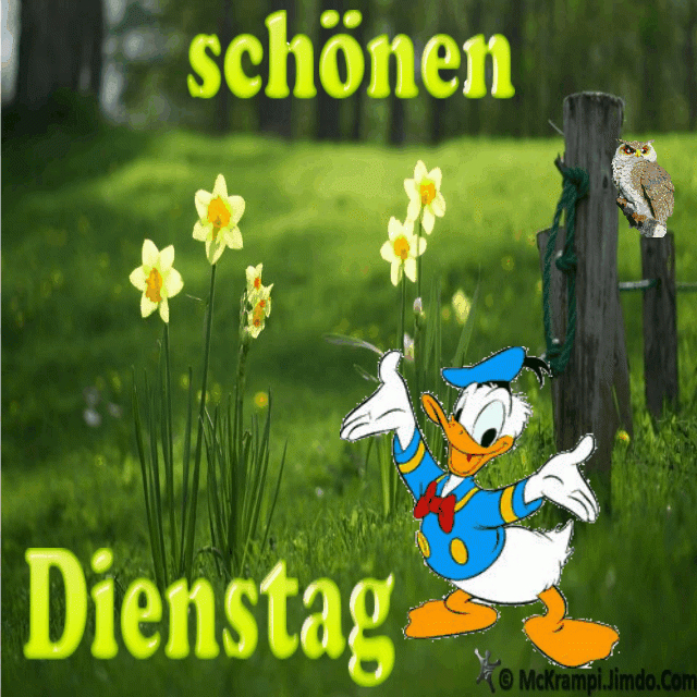 Mck Dienstag Gb 2013 Donald Im Grünen Mit Bbcode Bei Http:mckrampi verwandt mit Sonntags Grüße Gif Kostenlos