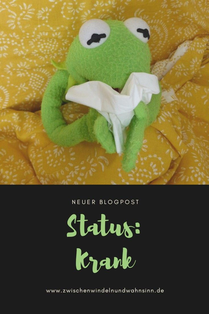 Pin Auf Lustig für Kermit Sprüche Whatsapp