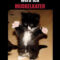 Pin Auf Lustige Fotos bei Sarkastisch Katzen Sprüche Lustig