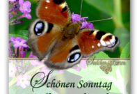 Pin Auf Schönes Wochenende  Schönen Sonntag bestimmt für Gruß Zum Sonntag