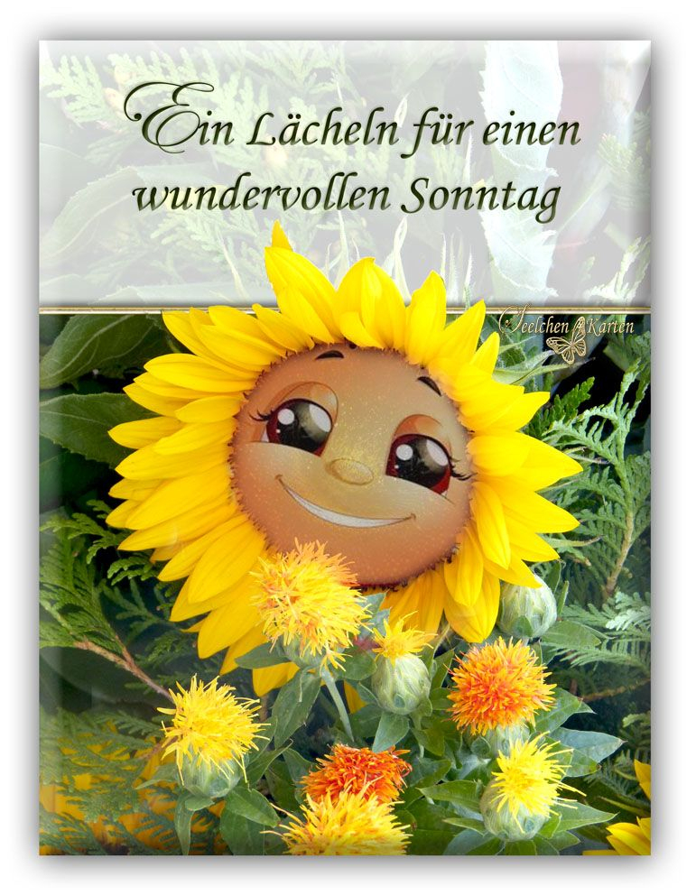 Pin Auf Schönes Wochenende  Schönen Sonntag über Guten Morgen Und Einen Schönen Sonntag