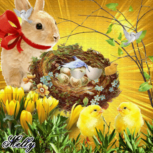 Pin By Mary Petersen On ~ Melly ~  Easter Images, Happy Easter Gif bestimmt für Ostern Gifs Lustig