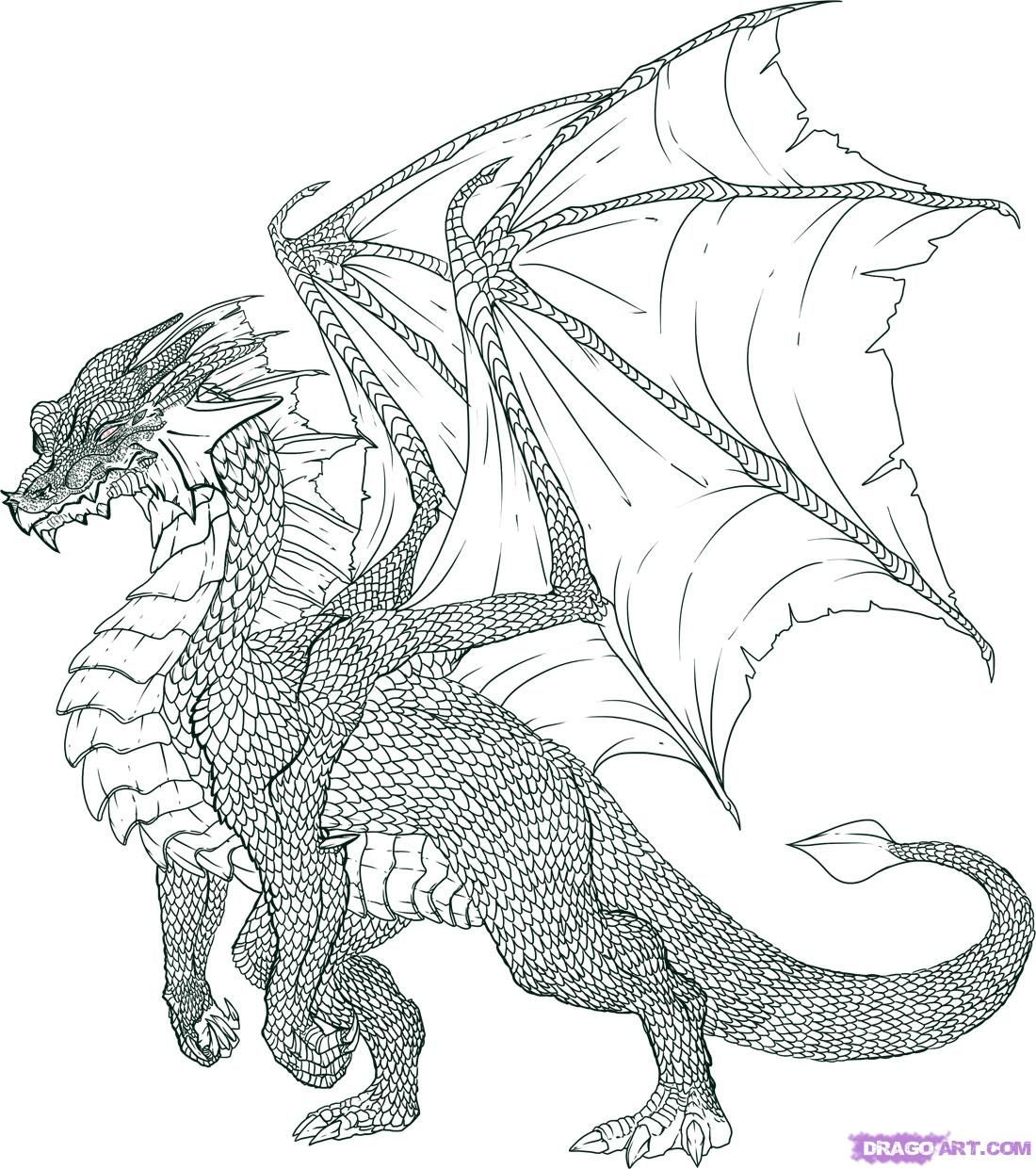 Pin On ~Dragons~ mit Drache Zeichnen Einfach
