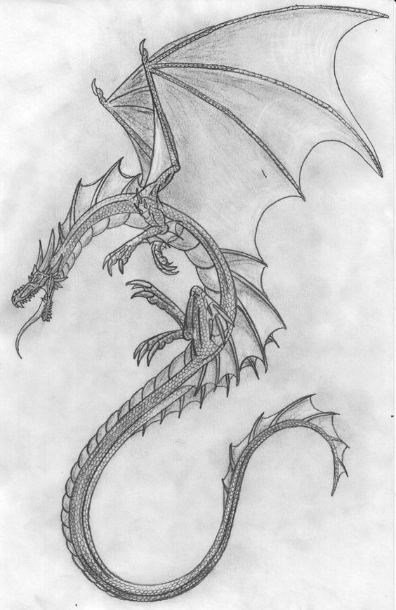 Pin On Dragons über Drache Zeichnen Einfach