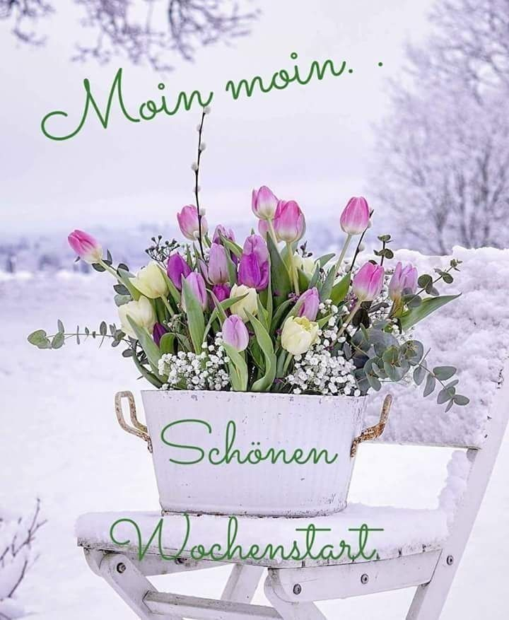 Pin Von Barbara Rathmanner Auf Wochenstart  Guten Morgen Bilder Blumen in Guten Morgen Wochenstart