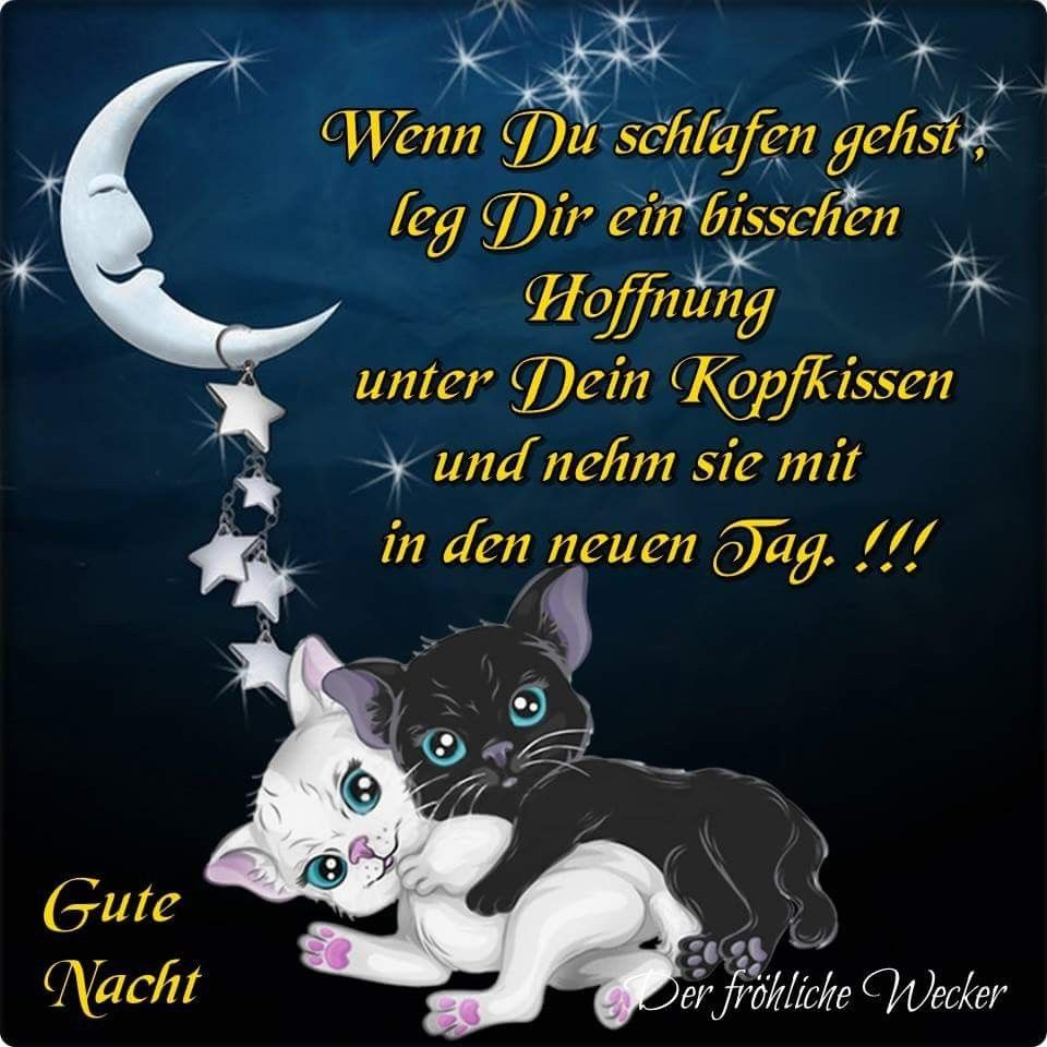 Pin Von Daysy Maus Auf Guten Abendgute Nacht  Gute Nacht, Gute Nacht in Lustig Süße Gute Nacht Bilder