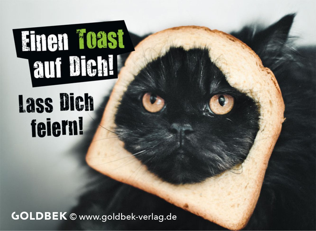 Postkarten - Geburtstag Humor. Lustiges Katzenmotiv :) Ein Toast Auf bestimmt für Sarkastisch Katzen Sprüche Lustig