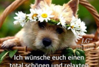 Samstag Bilder - Gbpicsbilder bestimmt für Kaffee Guten Morgen Samstag Bilder