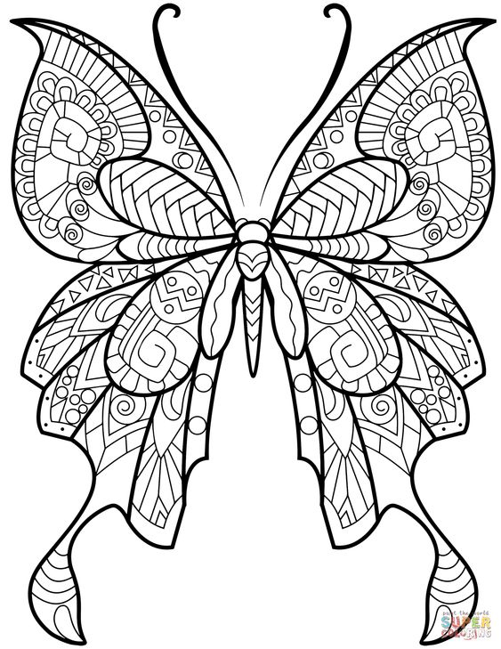 Schmetterling Malen - Ausmalbilder - Kostenlose Malvorlagen ganzes Schmetterlinge Malen Vorlagen