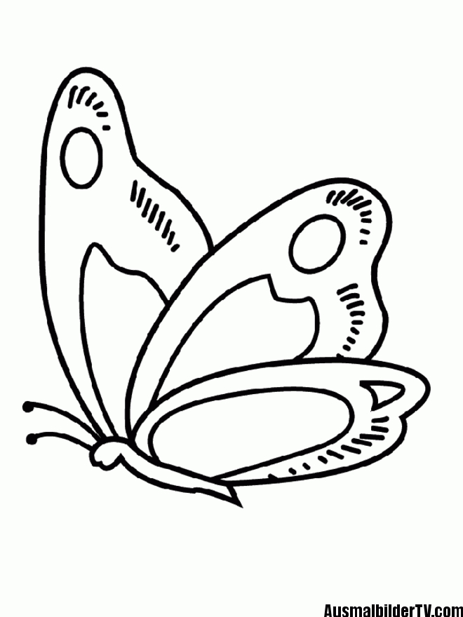 Schmetterling Malvorlage  Malvorlagen, Schmetterling Malen Und ganzes Schmetterlinge Malen Vorlagen