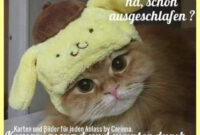 Schönen Dienstag Bilder Kostenlos Für Whatsapp 54 - Gbpicsbilder für Dienstagsgrüße Bilder Kostenlos