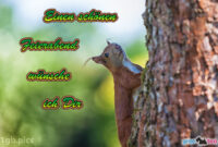 Schönen Feierabend Bilder, Gästebuchbilder, Gb Pics  1Gb.pics innen Herz Schönen Feierabend Bilder