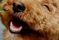 Schönen Freitagabend Bilder -Seite 2- Zum Verschicken &amp; Teilen in Schönen Freitag Abend