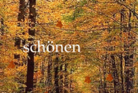 Schönen Sonntag Gif Sprüche 201 Archives - Gbpicsbilder in Schönen Sonntag Herbstlich