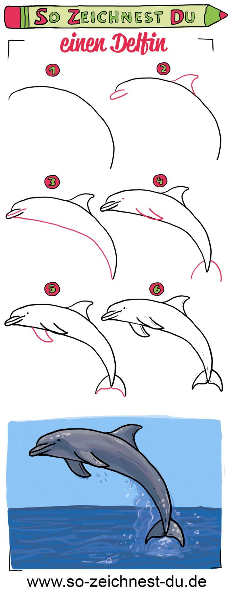 So Zeichnest Du Einen Delfin - So Zeichnest Du innen Tier Zeichnen Leicht