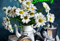 Sonntag  Guten Morgen, Guten Morgen Sonntag, Schönen Sonntag Bilder in Sonntag Guten Morgen Grüße Bilder