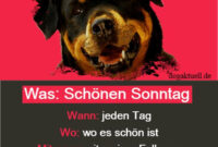 Sonntag Sprüche: 74 Schönen Und Lustige Sonntagssprüche Kostenlos bei Schönen Sonntag Bilder Lustig Kostenlos