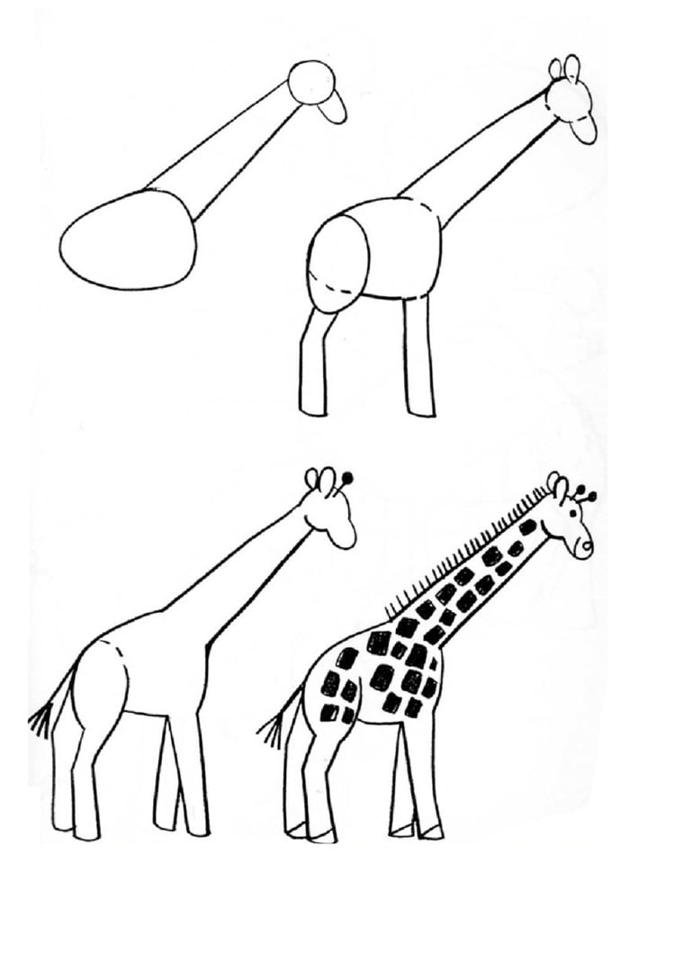 Tiere Malen Und Zeichnen - Einfache Anleitungen Für Kinder in Tier Zeichnen Leicht