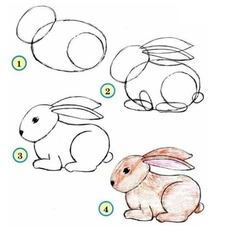 Tiere Malen Und Zeichnen - Einfache Anleitungen Für Kinder  Kitten in Tiere Zeichnen Vorlagen