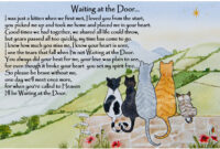 Vibrieren Große Auswahl Stressig Regenbogenbrücke Katze Spruch Couscous verwandt mit Abschied Katze Regenbogenbrücke