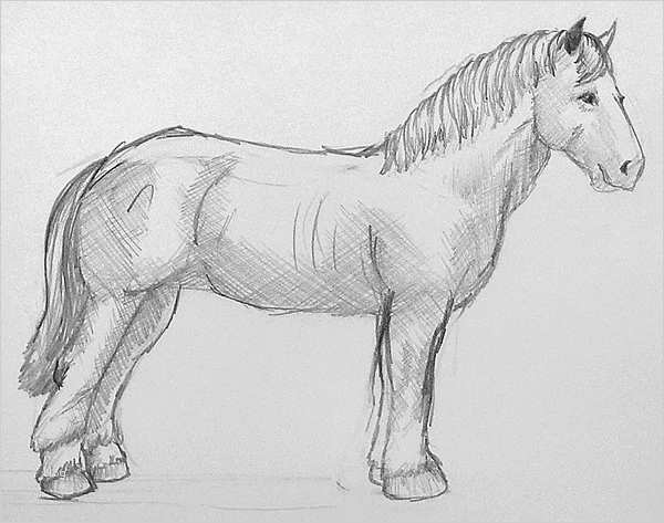Vorlagen Zum Zeichnen Lernen Großartig Ein Pferd Zeichnen Lernen mit Tiere Zeichnen Vorlagen